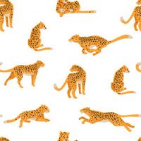 Adhesive Clear Cast - #014 Cheetahs