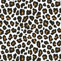 Adhesive Clear Cast - #012 Leopard Spots