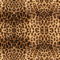 Printed HTV - #191 Real Leopard